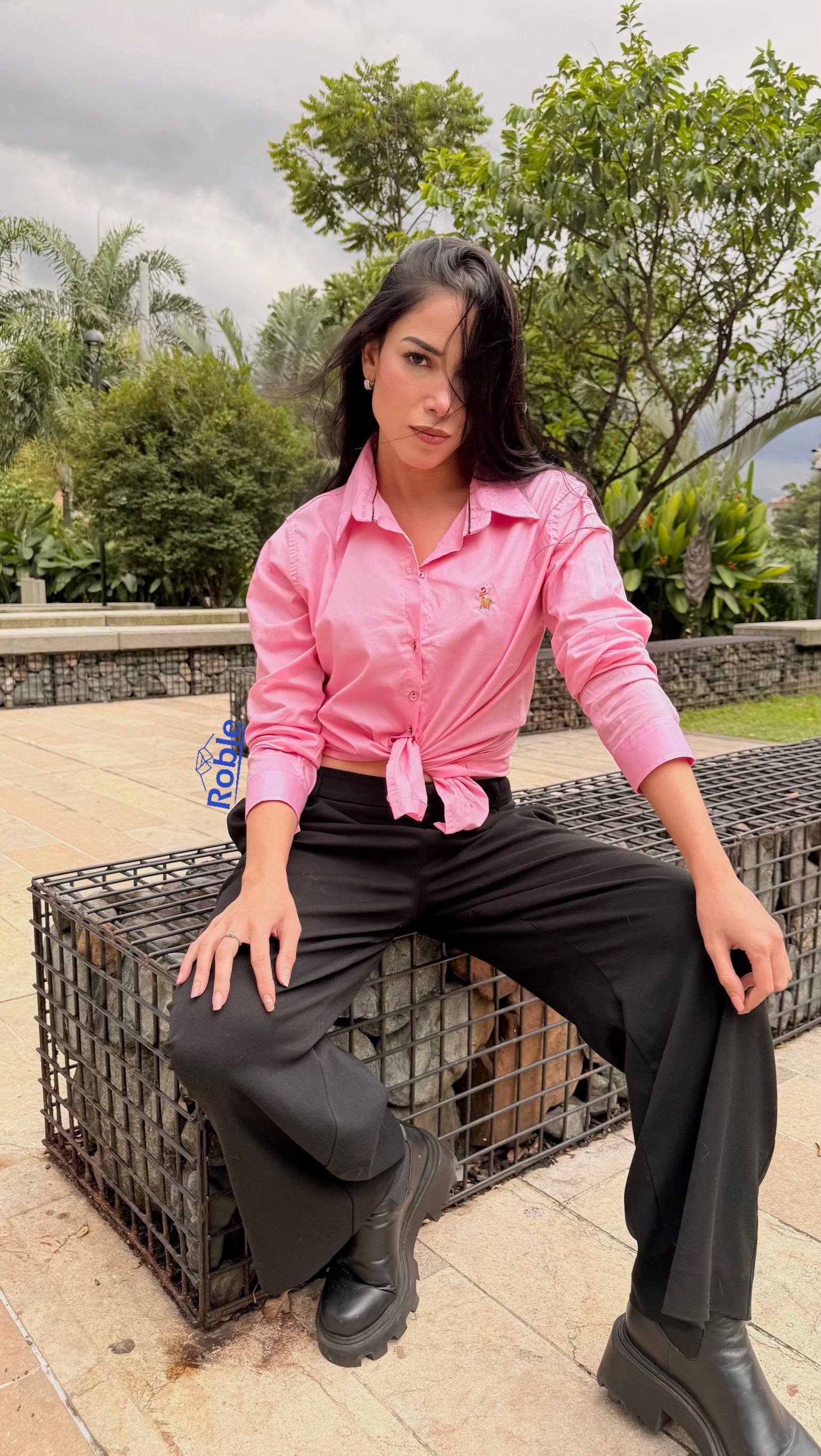 Camisa Mujer Flamingo Dream