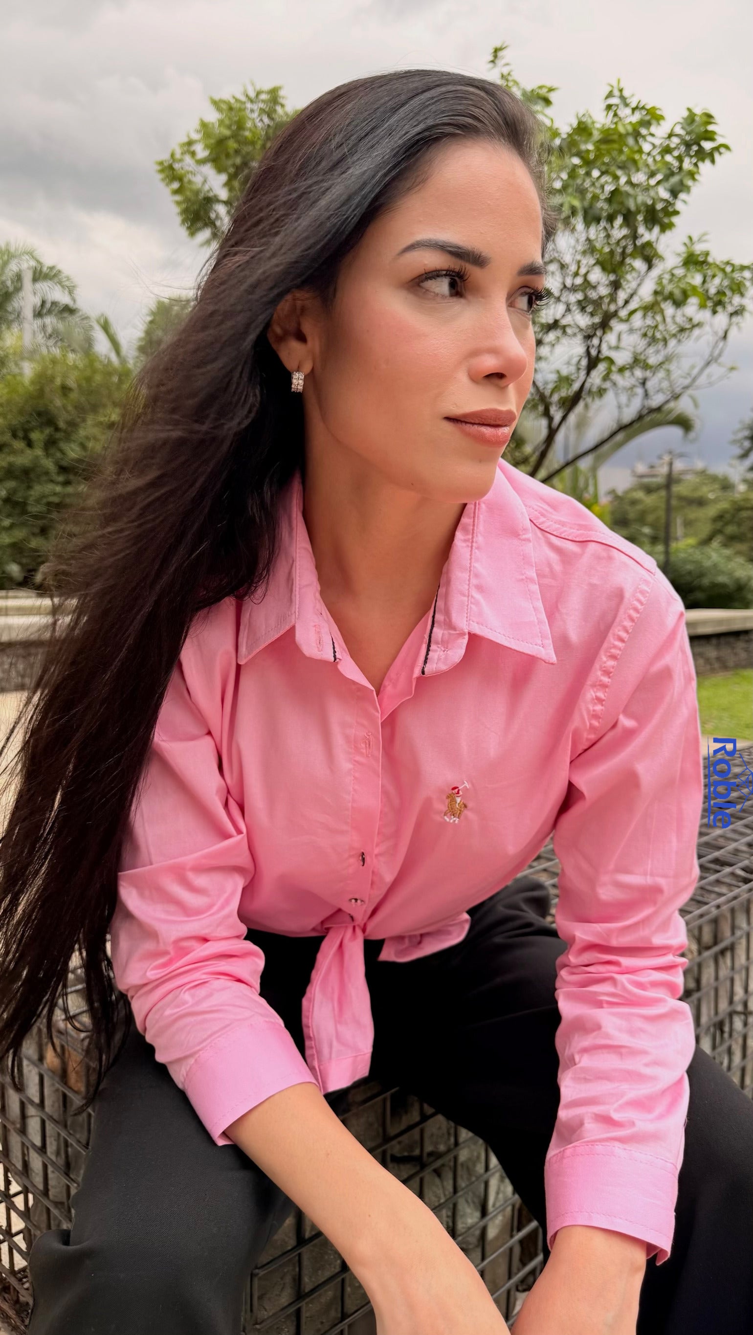 Camisa Mujer Flamingo Dream